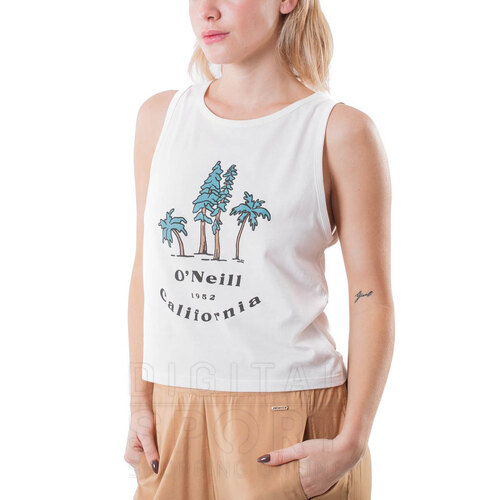 MUSCULOSA PALM